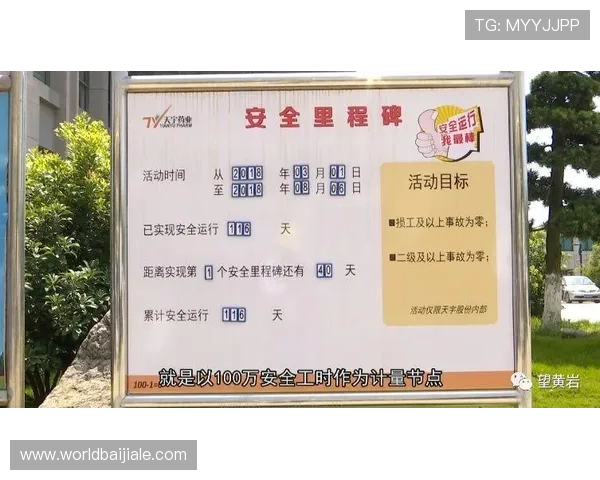 OB真人体育APP官方平台安全可靠，保障用户资金与个人信息安全的详细介绍