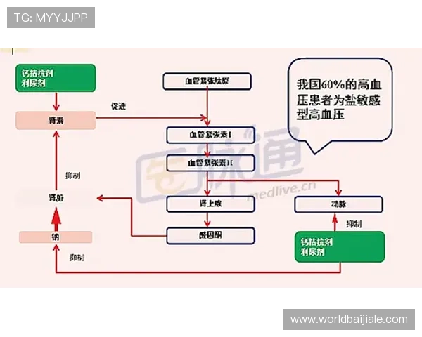 如何注册并快速上手PA真人国际平台，详细操作流程与新手指南