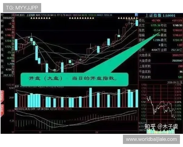 体育真人盘口的风险控制策略帮助玩家降低投注风险提升收益